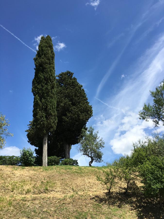Albergo Le Sorgenti Chianciano Terme Bagian luar foto
